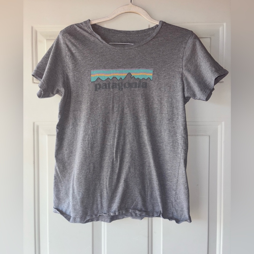 Patagonia gray graphic tee size M